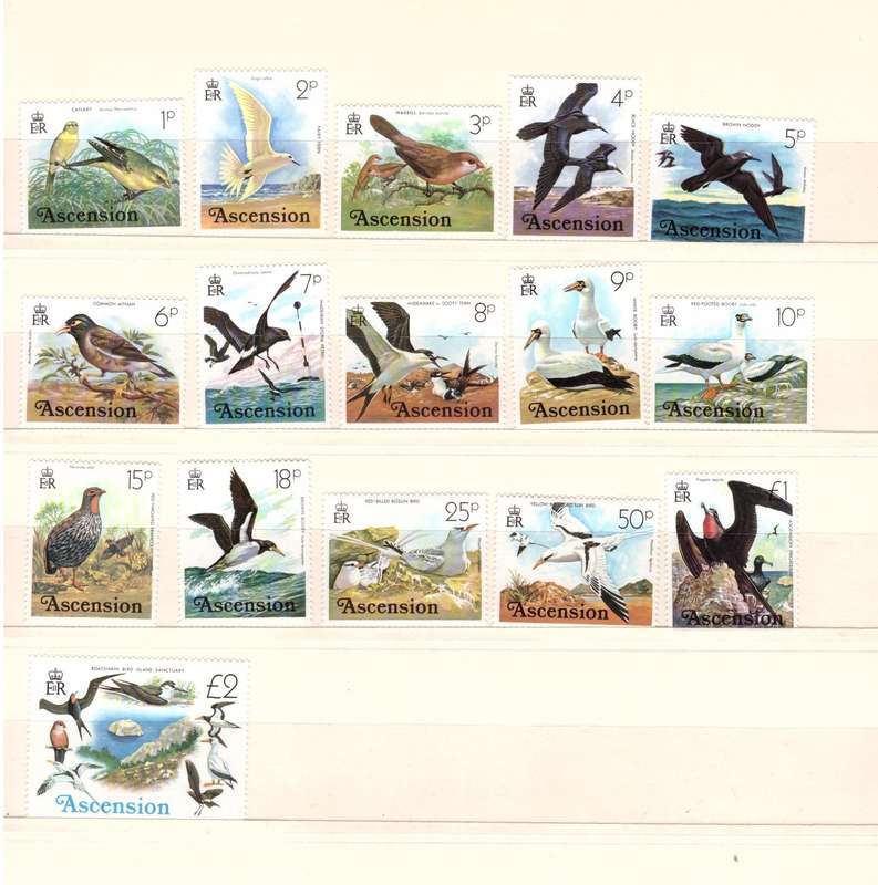 Ascension 1976 - Birds - UMM