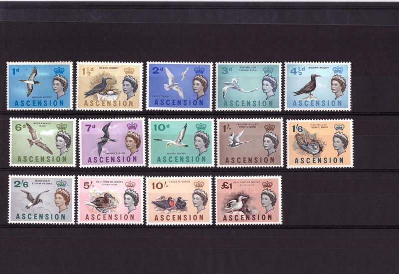 Ascension - 1963 Birds 23. May WM: 3 Perforation: 14¼ x 14½ - UMM, HR
