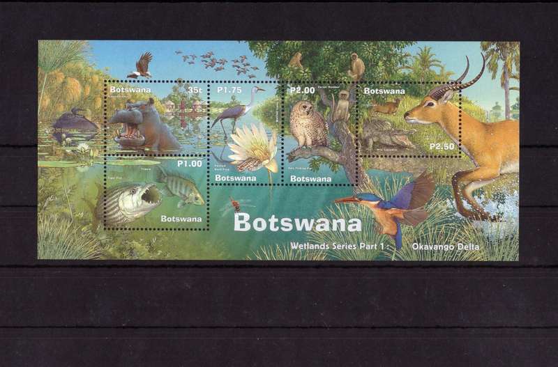 Botswana 2000 Wetlands - Sheet UMM
