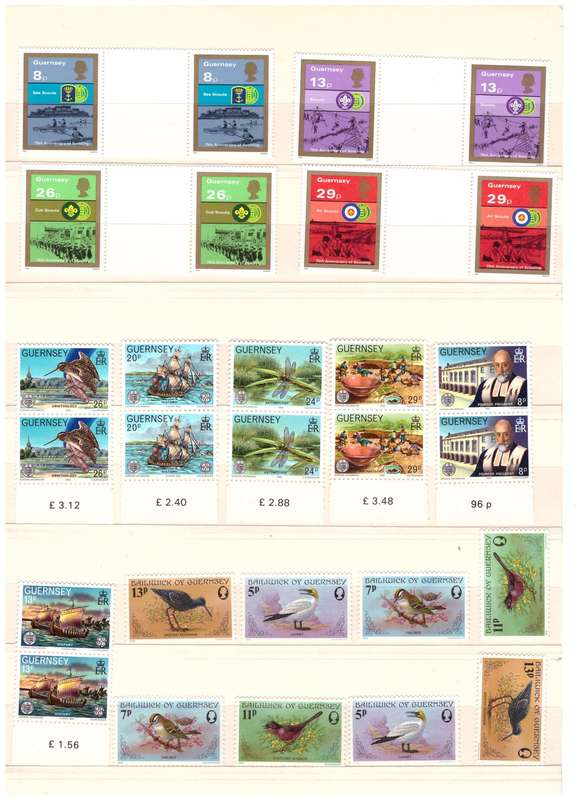 Guernsey Selection as per x5 Scans -UMM