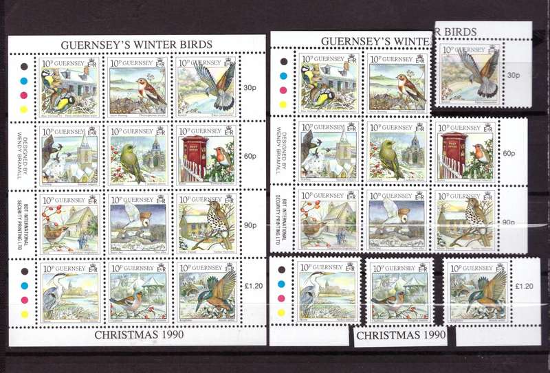 Guernsey Selection as per x5 Scans -UMM