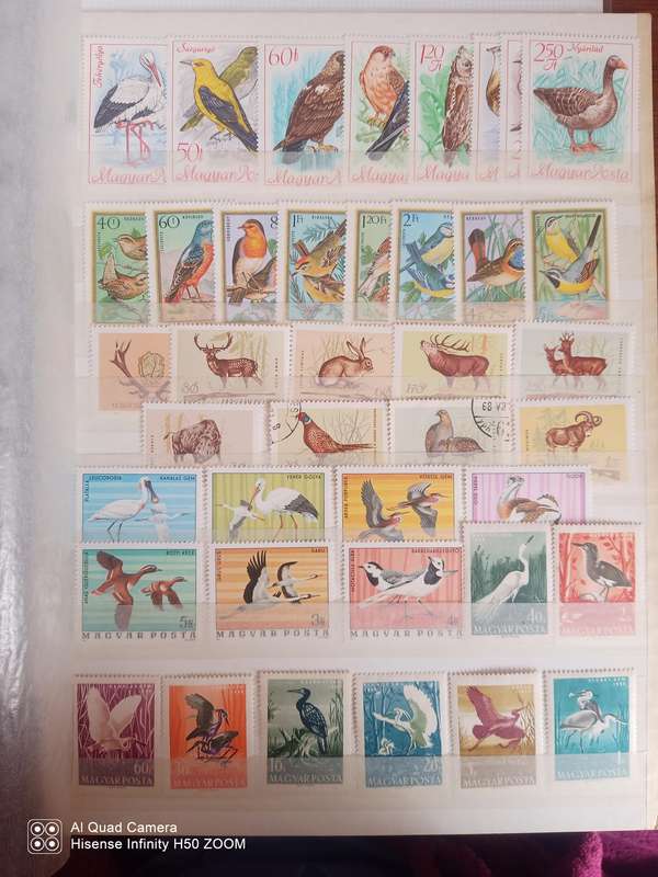 Hungary Selection - UMM, Used