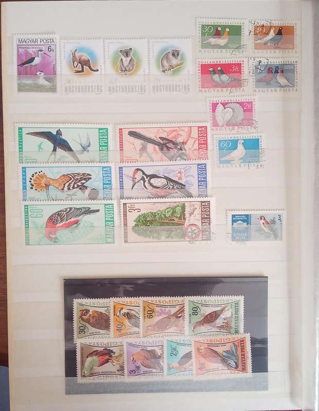 Hungary Selection - UMM, Used