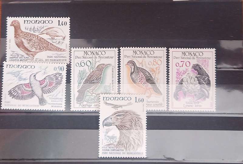 Monaco Selection - UMM