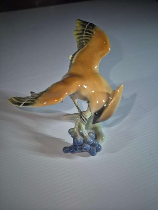 Kaiser bird