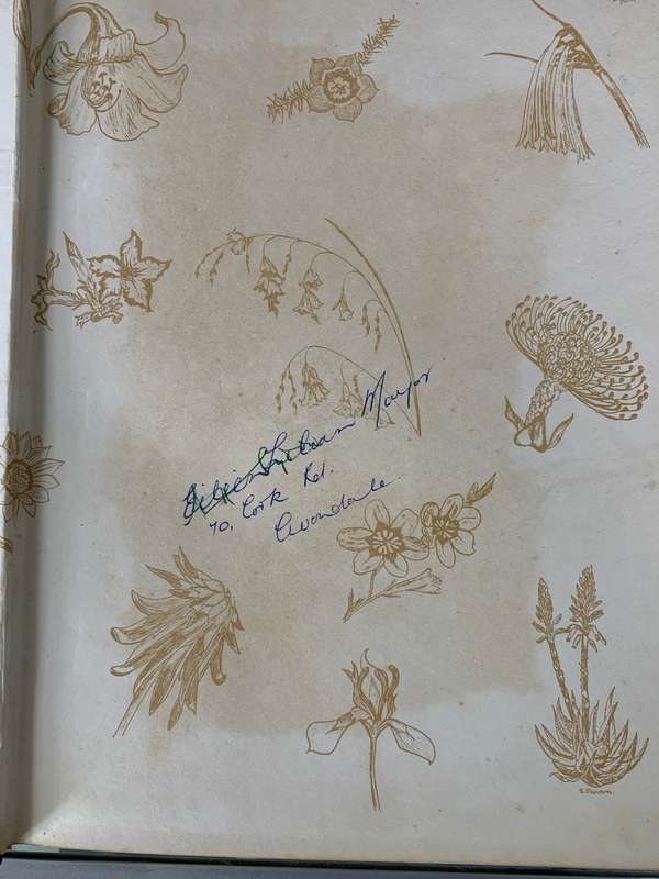 South African Flowers For The Garden by Sima Eliovson