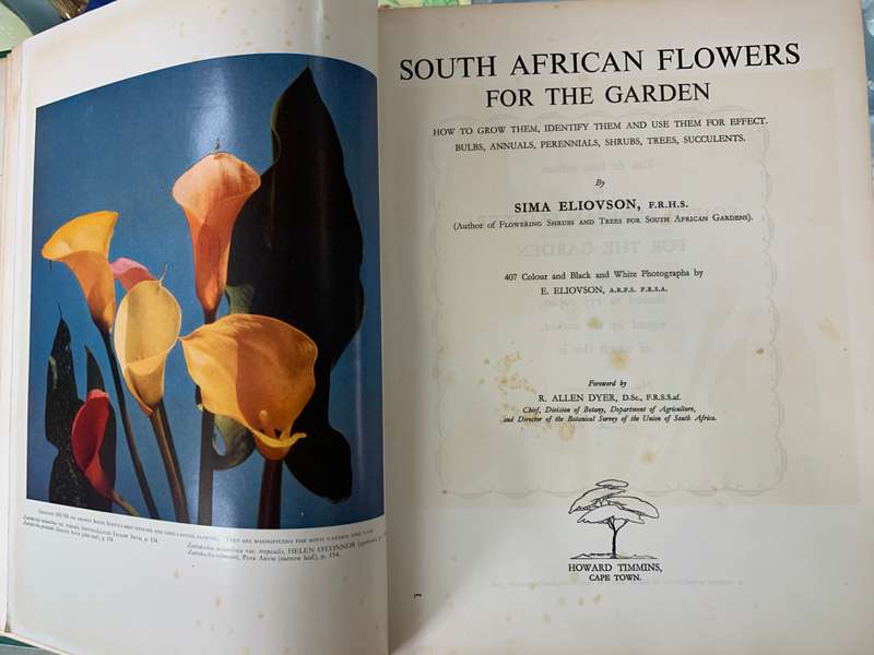 South African Flowers For The Garden by Sima Eliovson
