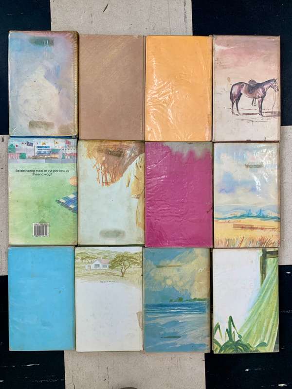 12 - Afrikaans books