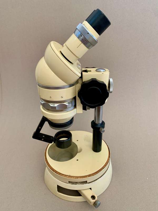Wild Heerbrugg M5 Stereomicroscope