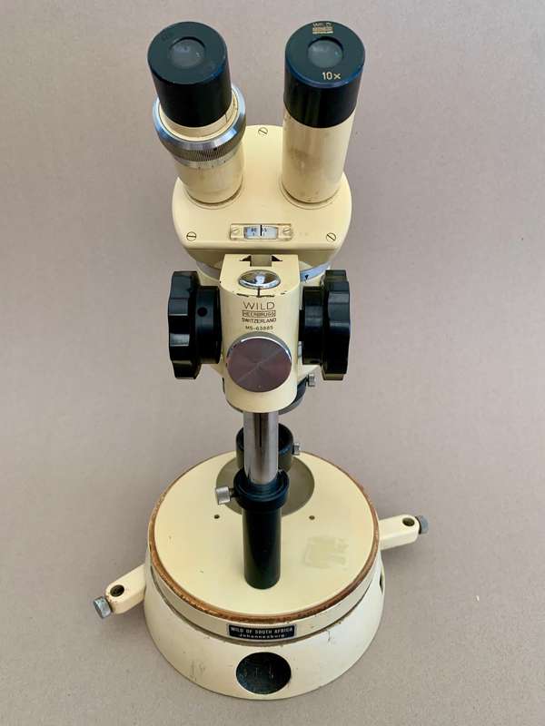 Wild Heerbrugg M5 Stereomicroscope