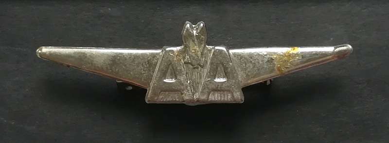1970'S AMERICAN AIRLINES FLIGHT PIN/BADGE 14X50MM