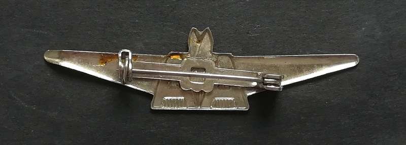 1970'S AMERICAN AIRLINES FLIGHT PIN/BADGE 14X50MM