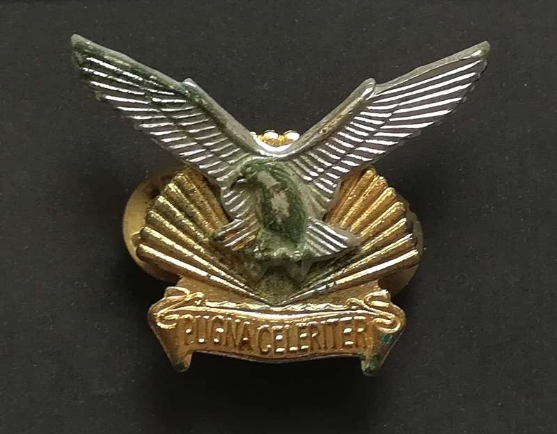 SADF DURBAN REGIMENT CAP BADGE