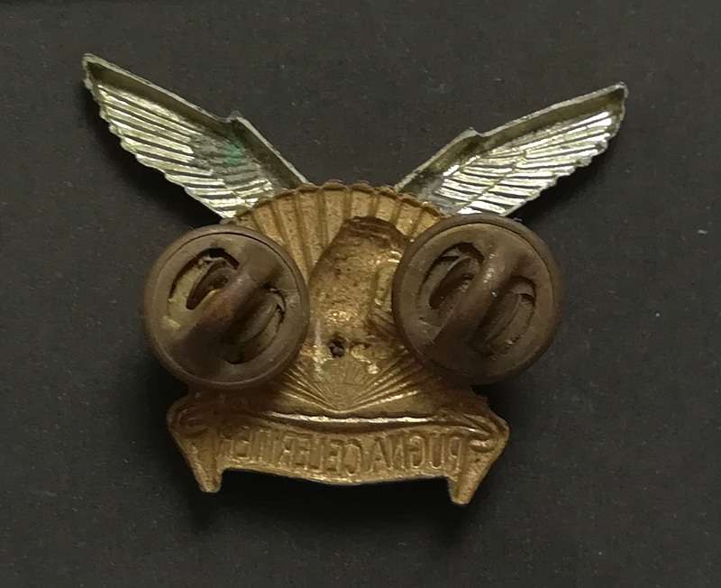 SADF DURBAN REGIMENT CAP BADGE