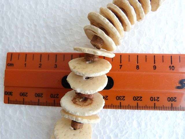 Antique Big Ostrich Shell Necklace. OLD TRIBAL ART.