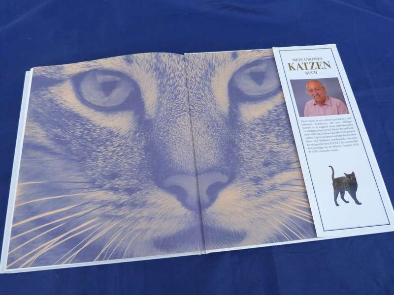 MEIN GROSSES KATZENBUCH. COFFEETABLE BOOK.