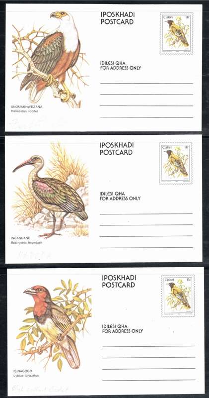 CISKEI (10 x Bird Postcards)