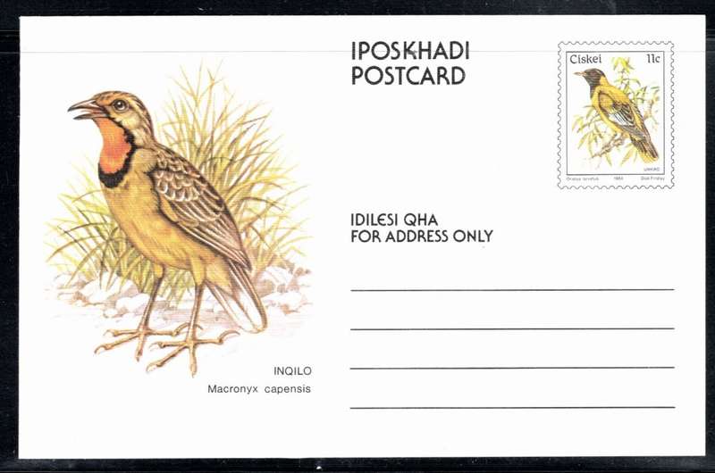 CISKEI (10 x Bird Postcards)