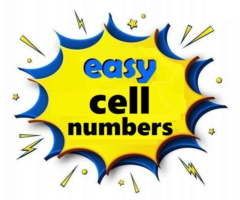 0698 58 58 58 - UNIQUE EASY CELL NUMBER - NO SHIPPING COST!