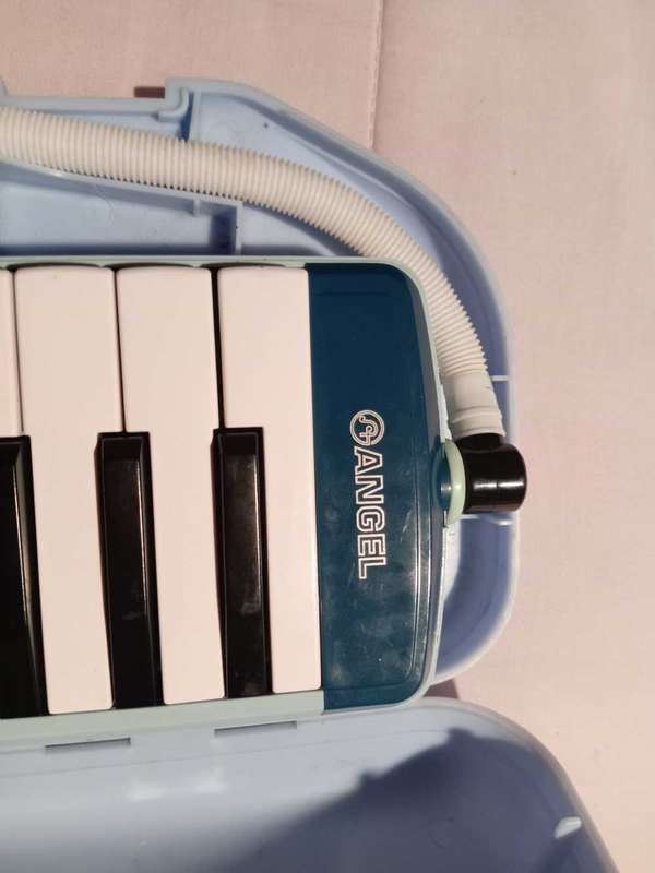 ANGEL MELODICA IN CARRY CASE.