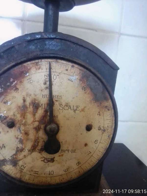 VINTAGE HUGHES FAMILY SCALE NO. 48