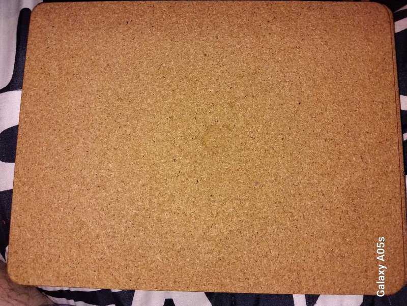 VINTAGE PRESTIGE PLACEMATS BY "PASTICHE"