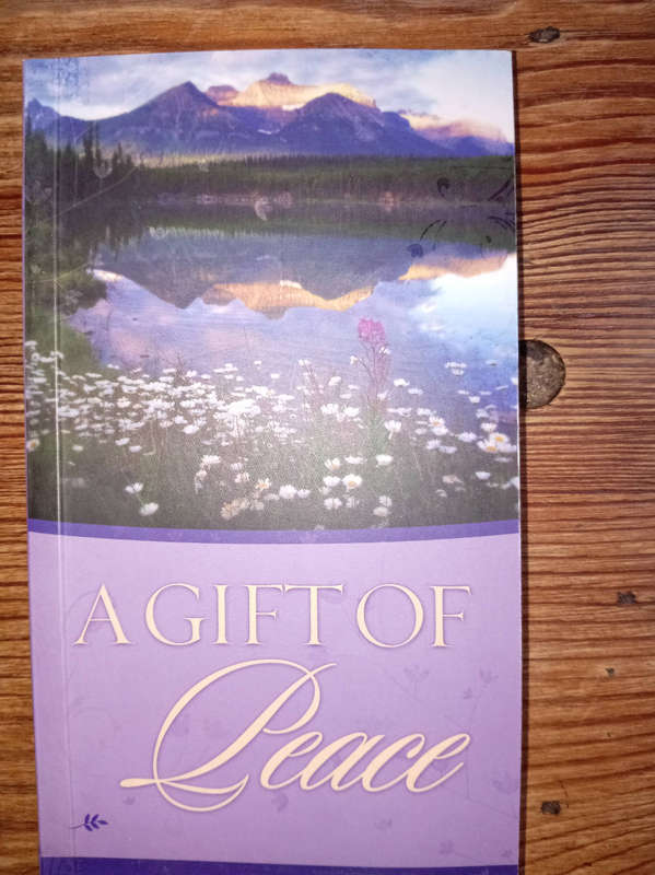 12  MOTIVATIONAL BOOKS AS PER PHOTOS. R70. 00 THE LOT