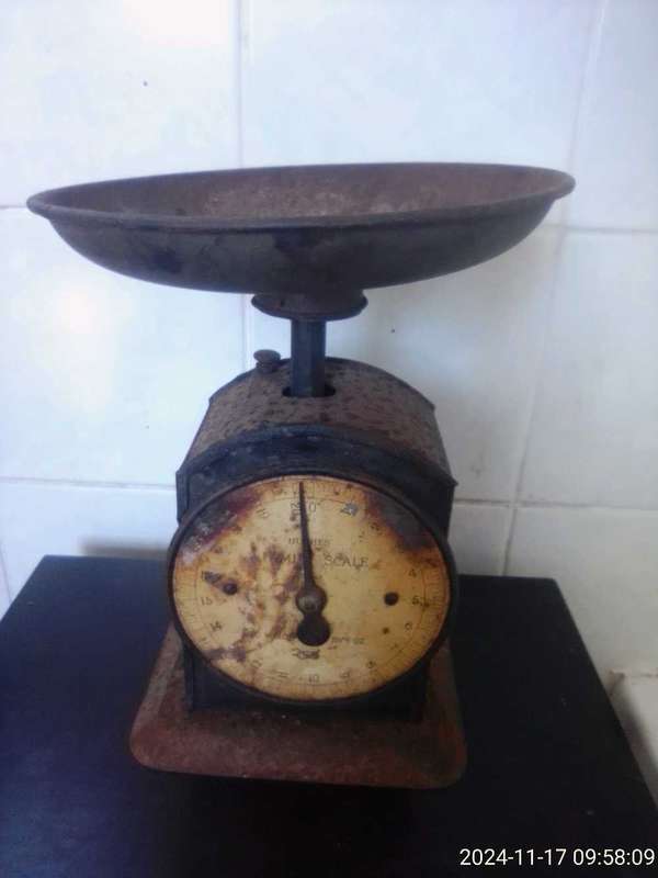 VINTAGE HUGHES FAMILY SCALE NO. 48