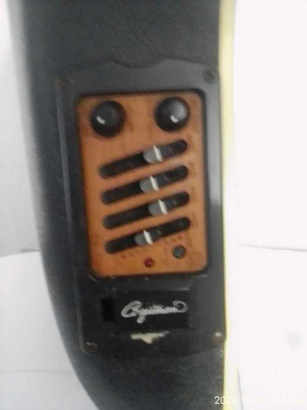 CRAFTMAN MODEL RY 35 BS GUITAR AND LEADS