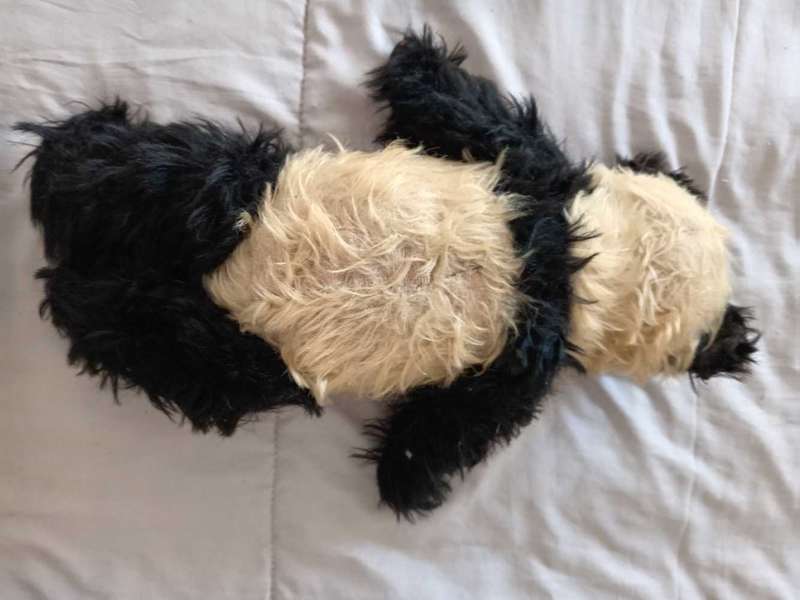 ANTIQUE MERRYTHOUGHT TEDDY BEAR.