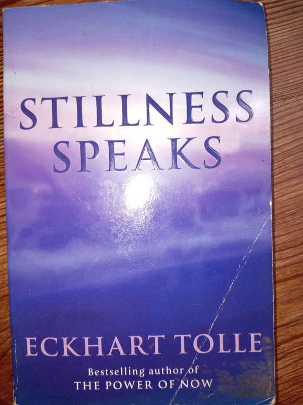 12  MOTIVATIONAL BOOKS AS PER PHOTOS. R70. 00 THE LOT