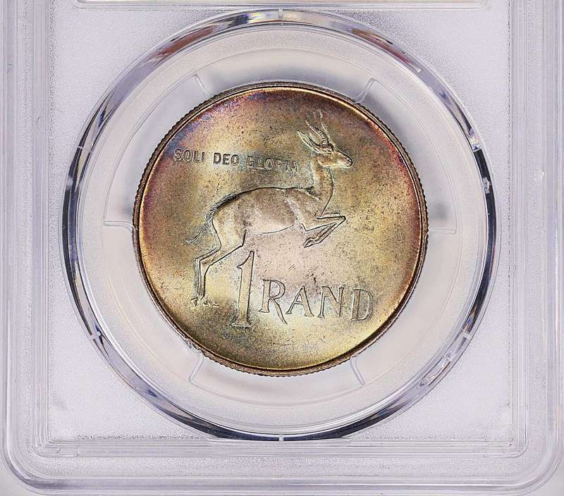 MS66 - 1966 Silver R1 NGC "SOUTH AFRICA" English Legend - Toned - Only 1 finer -grab a bargain