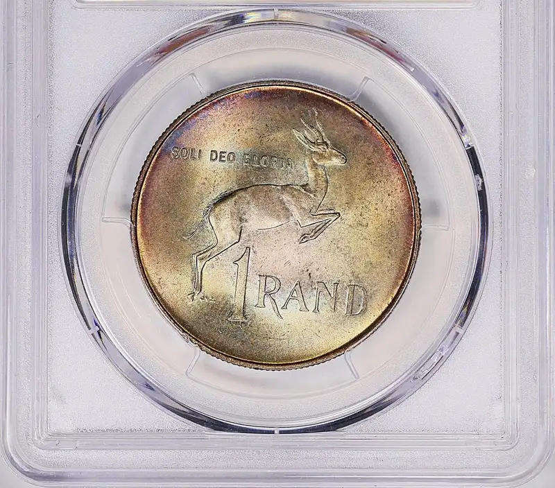 MS66 - 1966 Silver R1 NGC "SOUTH AFRICA" English Legend - Toned GEM- Only 1 finer -grab a bargain