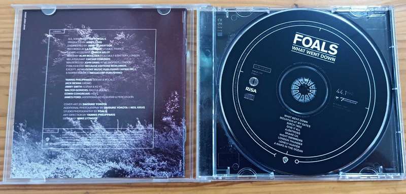 FOALS What went down CD