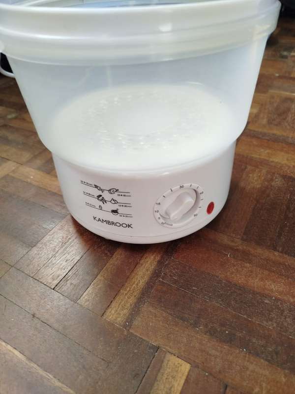 Kamrook Food Steamer