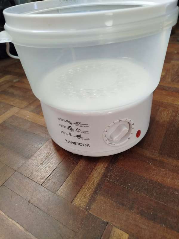 Kamrook Food Steamer