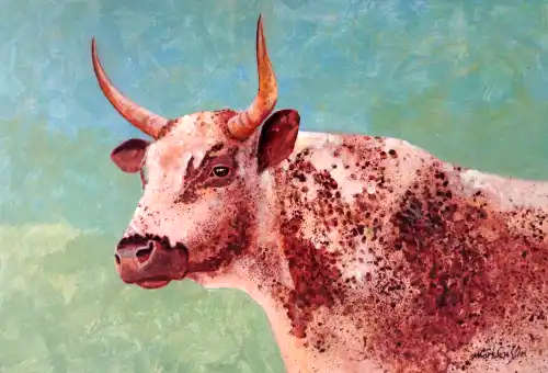 mark enslin oil painting  nguni cow