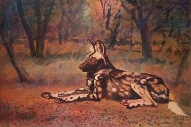 mark enslin oil painting - wild dog