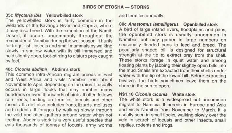 NAM 1994-06-03 Storks. Birds of the Etosha FDC 2.6 (32 000) [SACC R16]