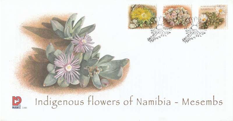 NAM 2007-08-31 Indigenous flowers of Namibia FDC 3.60 (1 500) [SACC R140]