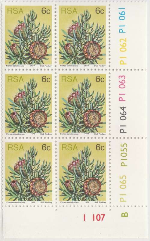 RSA 3rd Definitive Issue SACC 423a x6 B [SACC R12]