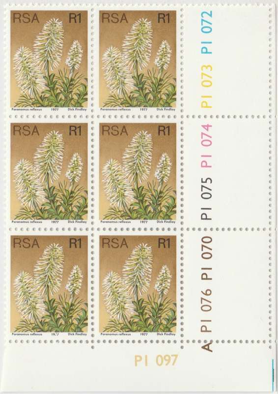 RSA 3rd Definitive Issue SACC 433 x6 A [SACC R60]