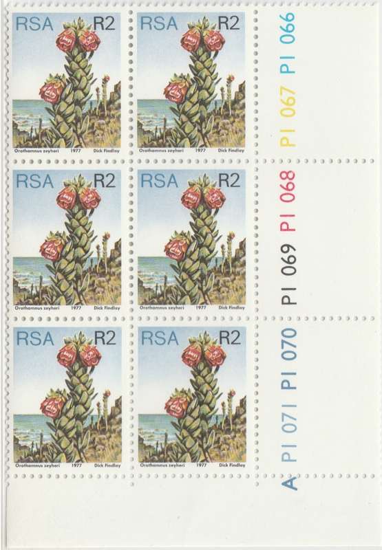 RSA 3rd Definitive Issue SACC 434 x6 A [SACC R240]