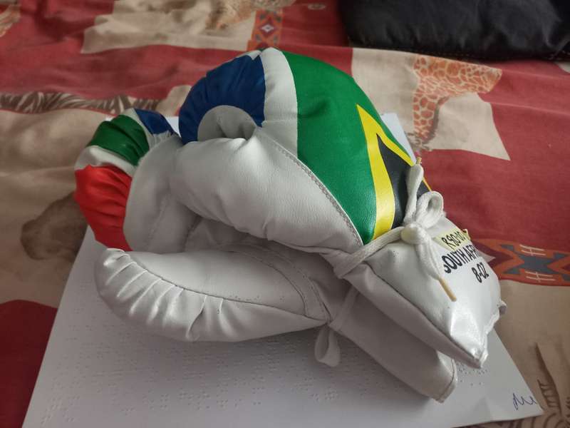 Kiddies Boxing Gloves - medium - used once