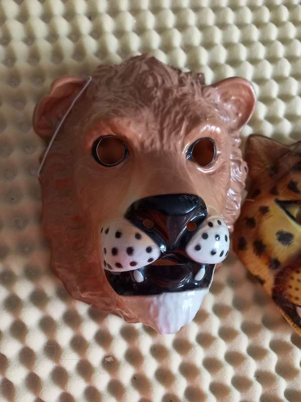 2 x kids animal masks