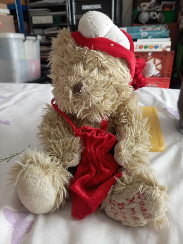 Soft toy  - Christmas Bear