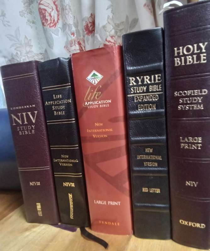 BIBLES: Select NIV various Bibles