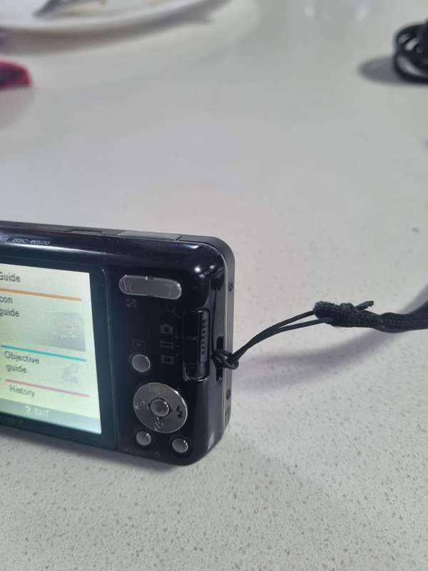 Sony Cybershot digital camera DSC-W570  16.1 m/pixel, 5 x optical zoom.