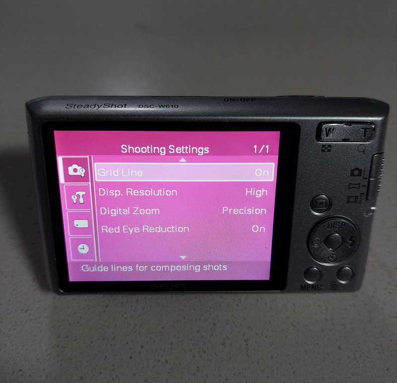 Sony Cybershot digital DSC-W610 14.1 m/pixel, 4 x optical zoom, video recording, panoramic sweep etc