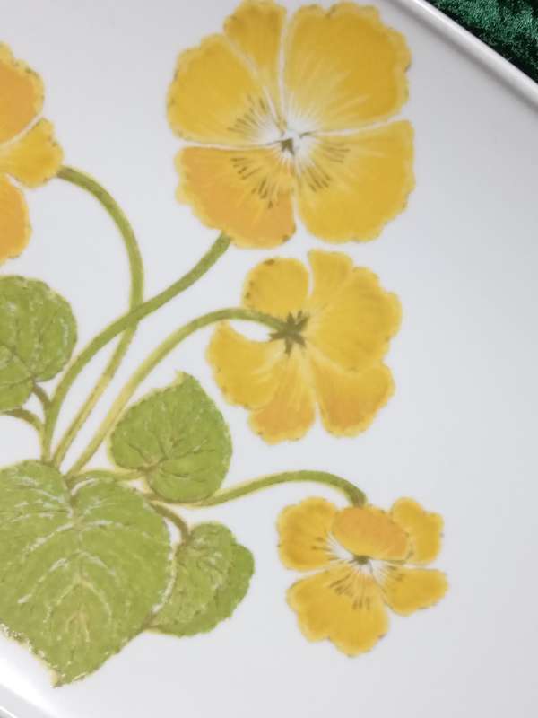 Noritake Progression China. "Flower Time" pattern 9072